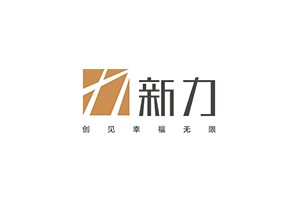新力置业集团