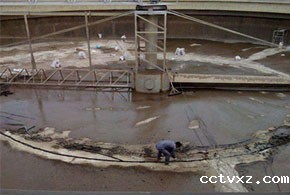 雷竞技网址贴吧